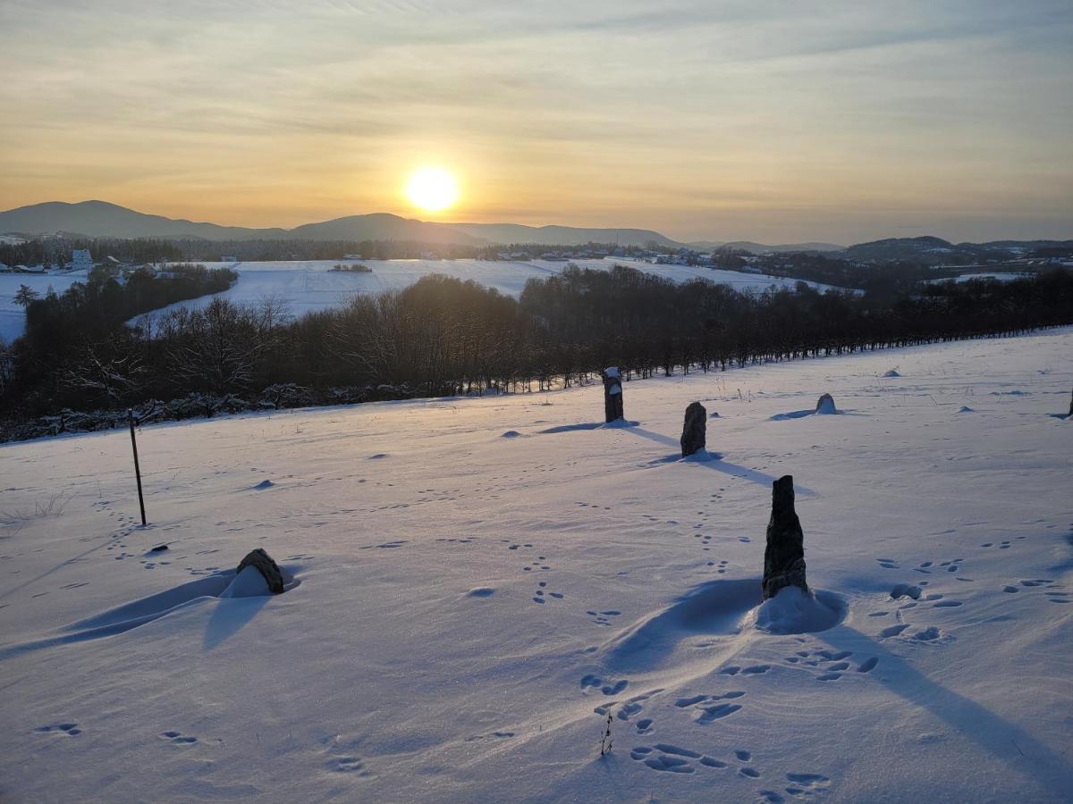 Fantastic View Vineyard Beskid Mountains Gruszow  Exterior photo