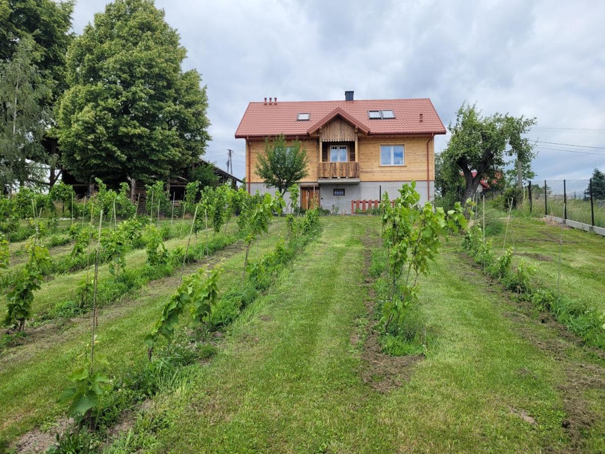Fantastic View Vineyard Beskid Mountains Gruszow  Exterior photo