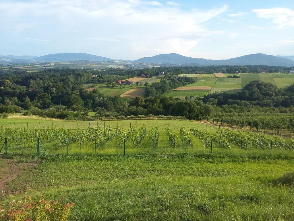 Fantastic View Vineyard Beskid Mountains Gruszow  Exterior photo